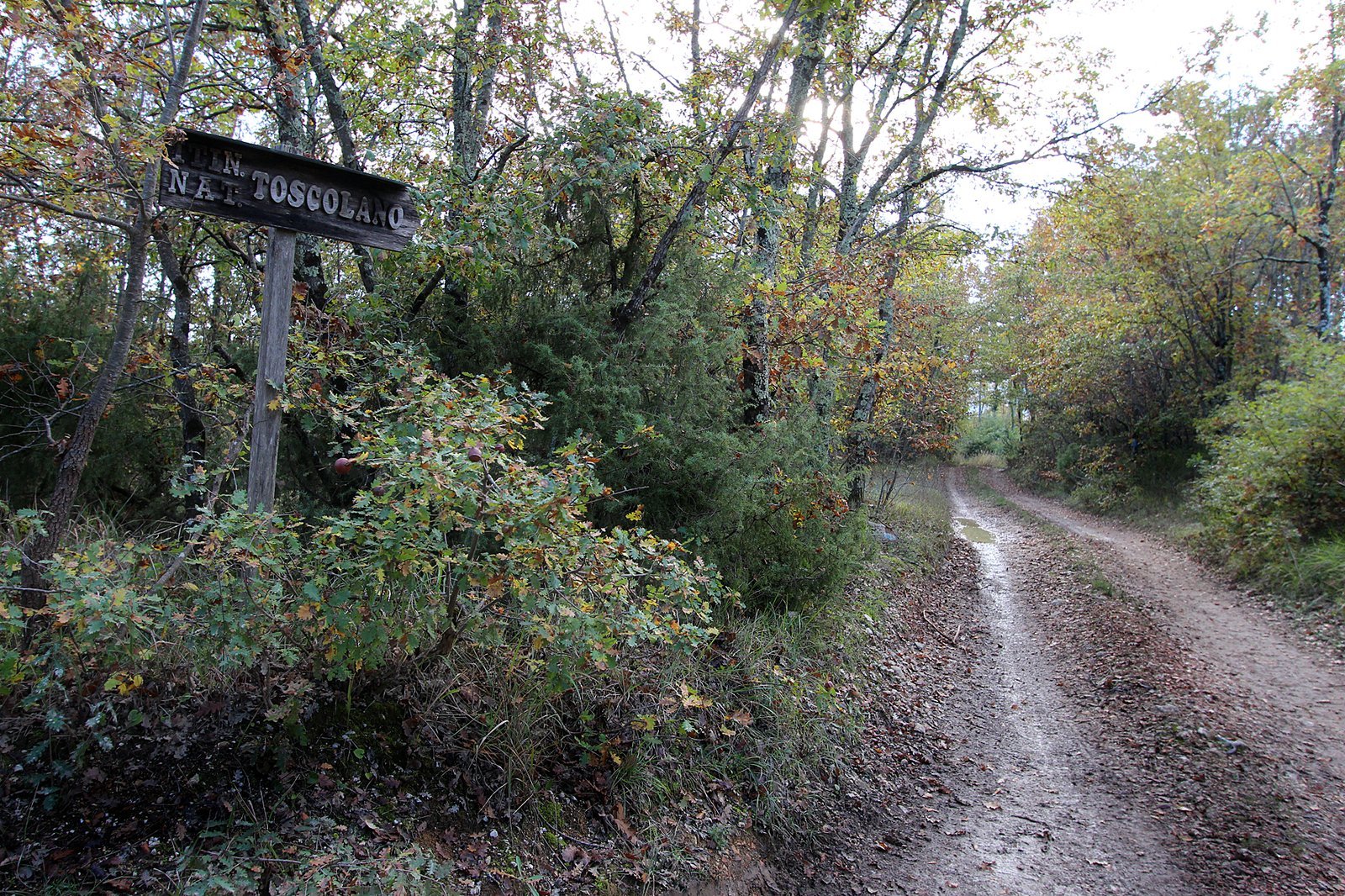 Veduta del borgo circolare di Toscolano
